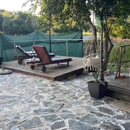 Lodge зеленец